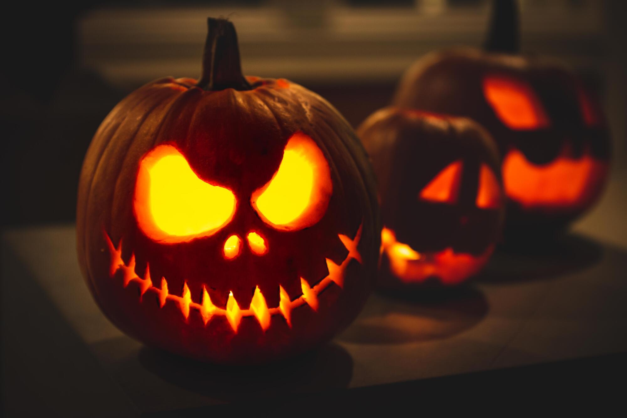 Halloween Activities for Seniors and Grandkids in Clearwater